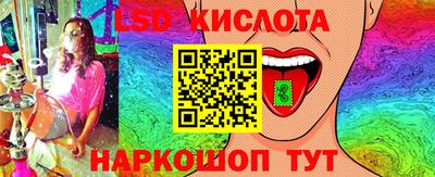 винт Новодвинск
