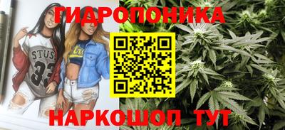 ECSTASY Новозыбков