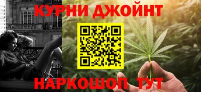 ECSTASY Новозыбков