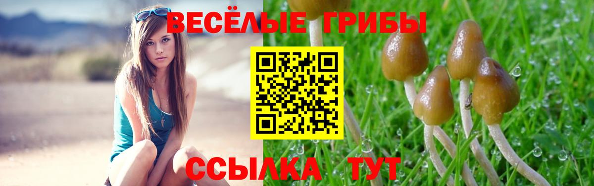 Сургут  Псилоцибиновые грибы MAGIC MUSHROOMS  Вход с VPN 